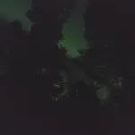 Ylläs Kanerva 105 *