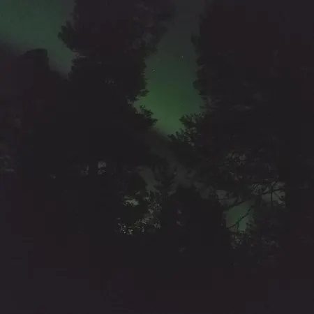 Yllaes Kanerva 105 *