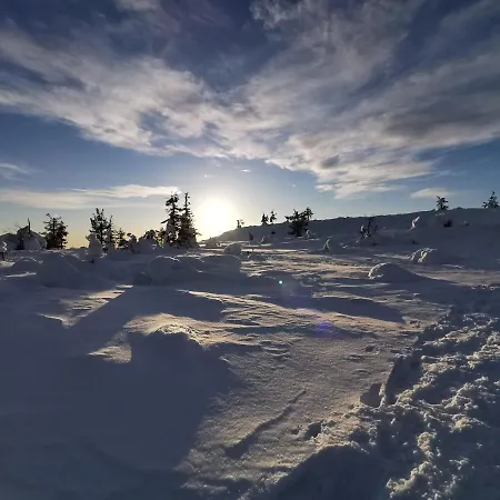 Apartament Yllaes Kanerva 105 *