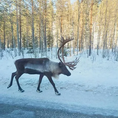 Yllaes Kanerva 105 Apartament