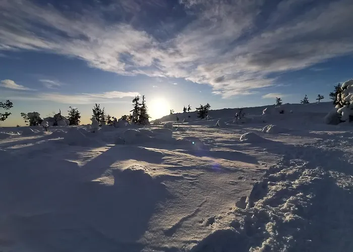 Daire Yllaes Kanerva 105 *