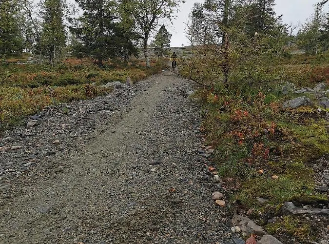 Yllaes Kanerva 105 Daire *